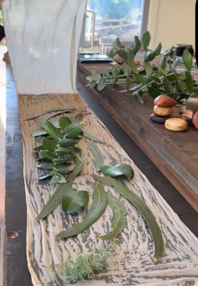 Nervous System Reset Retreat Course