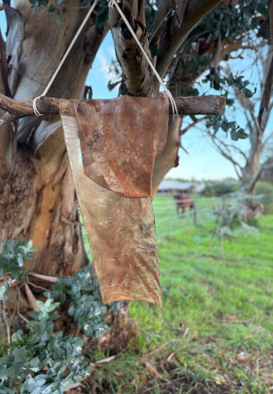 Nervous System Reset Retreat Course