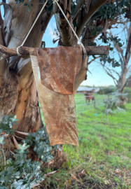 Nervous System Reset Retreat Course