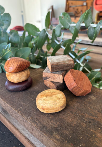 Nervous System Reset Retreat Course