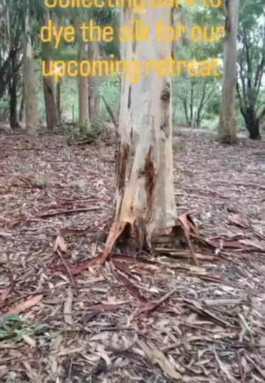 Nervous System Reset Retreat Course