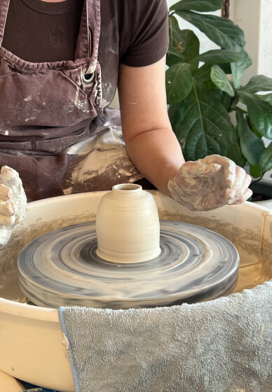 Next Steps on the Wheel: Form and Function Course