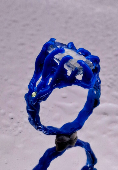 One-on-one Claw and Organic Claw Setting Workshop