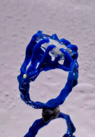 One-on-one Claw and Organic Claw Setting Workshop