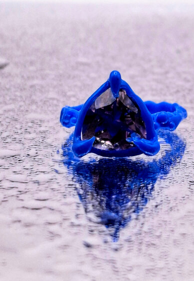 One-on-one Claw and Organic Claw Setting Workshop