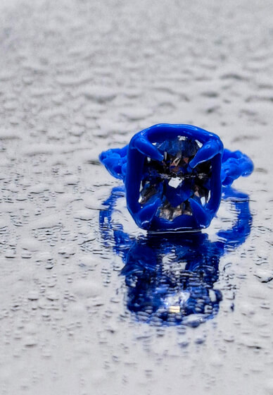 One-on-one Claw and Organic Claw Setting Workshop