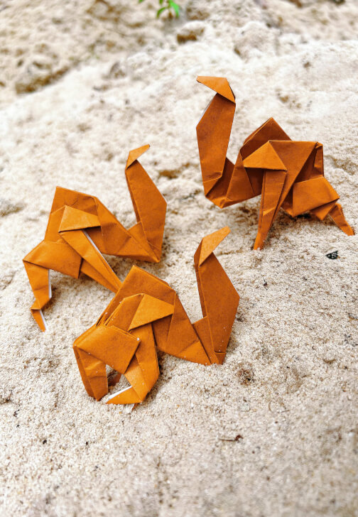 Origami Paper Folding Workshop