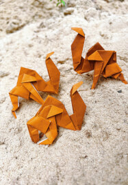 Origami Paper Folding Workshop