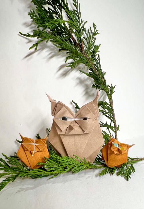 Origami Paper Folding Workshop