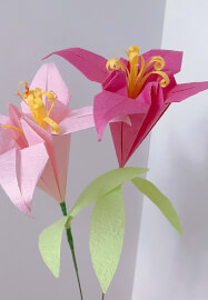 Origami Paper Folding Workshop