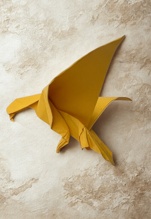 Origami Paper Folding Workshop