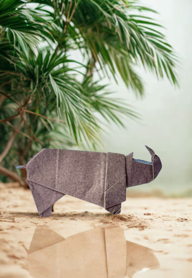 Origami Paper Folding Workshop