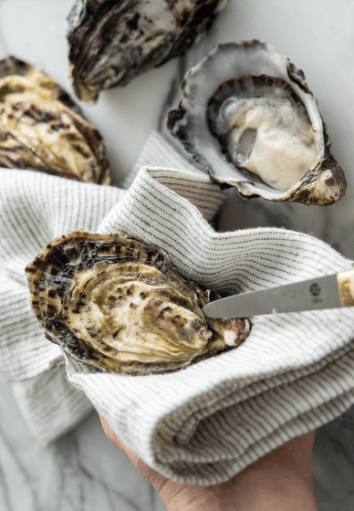 Oyster and Semillon Tasting Experience