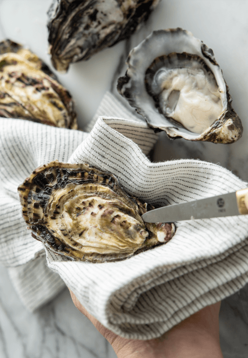 Oyster and Semillon Tasting Experience
