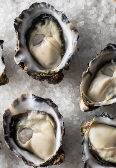 Oyster and Semillon Tasting Experience