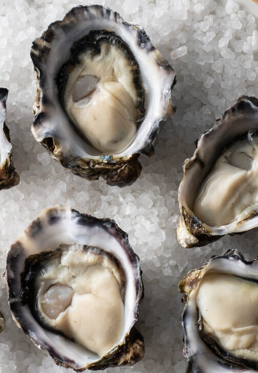 Oyster and Semillon Tasting Experience
