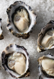 Oyster and Semillon Tasting Experience
