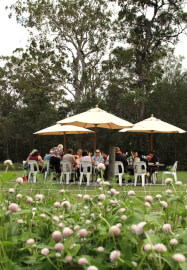 Paint and Pick: Watercolour Workshop in the Flower Field