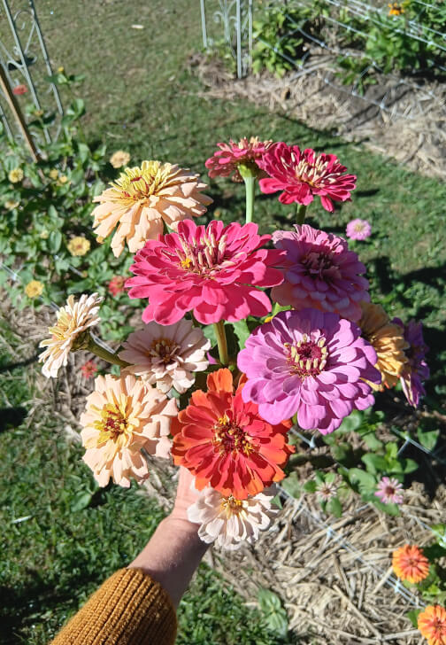Paint and Pick: Watercolour Workshop in the Flower Field