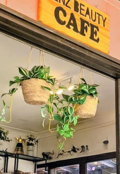 Paint and Plant Terracotta Pot Workshop