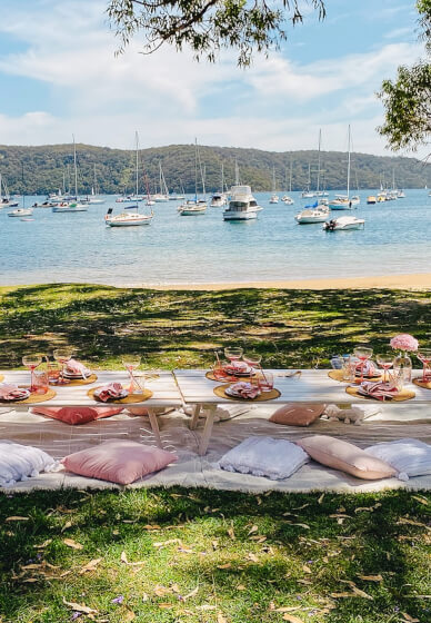 Paint and Sip Picnic Class