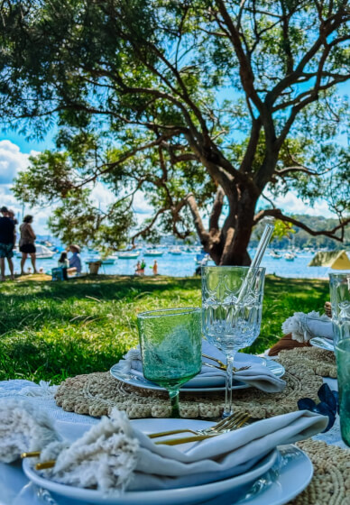 Paint and Sip Picnic Class