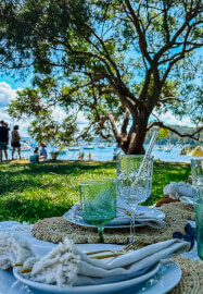 Paint and Sip Picnic Class