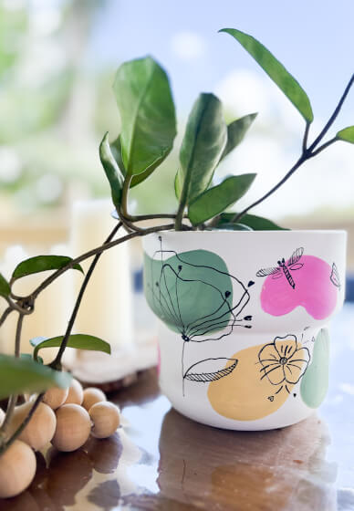 Paint and Sip - Plant Pot Painting Workshop