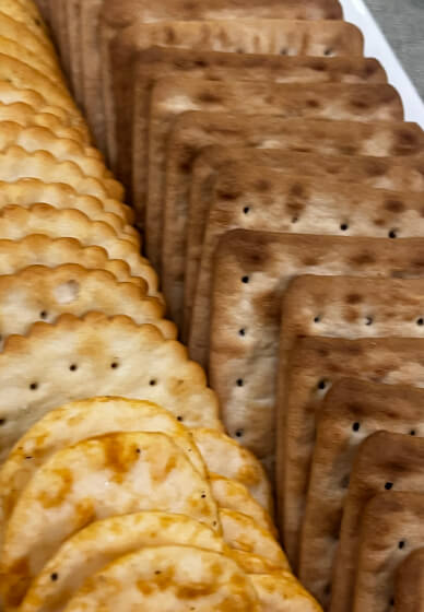 Paint and Sip Workshop 'Yellow Tail Black Cockatoo and Wild Native'