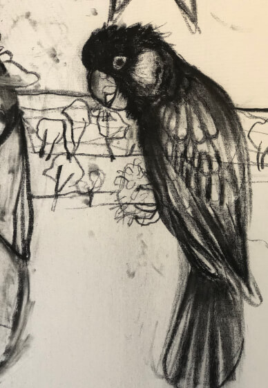 Paint and Sip Workshop 'Yellow Tail Black Cockatoo and Wild Native'