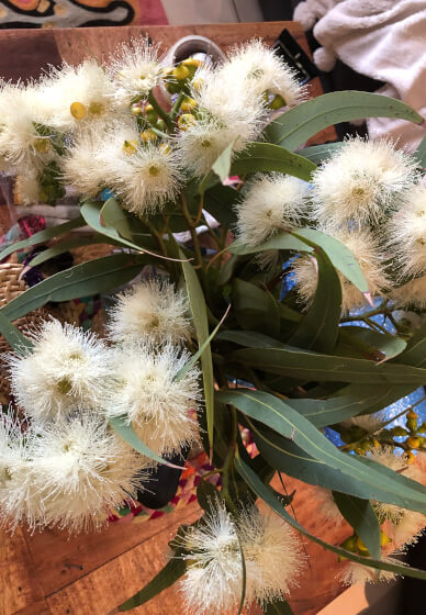 Paint and Sip Workshop 'Yellow Tail Black Cockatoo and Wild Native'