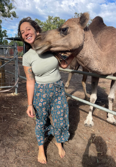 Paint, Pat and Pour Class