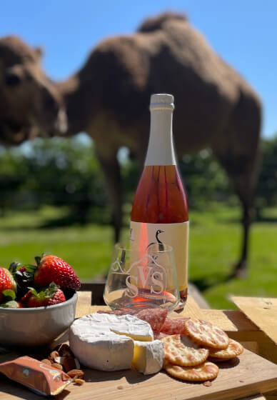 Paint, Pat and Pour Class