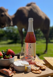 Paint, Pat and Pour Class