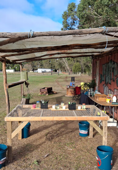 Paint, Pot and Petals Workshop