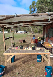 Paint, Pot and Petals Workshop