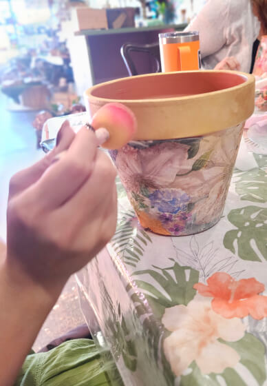 Paint, Stick and Plant Workshop