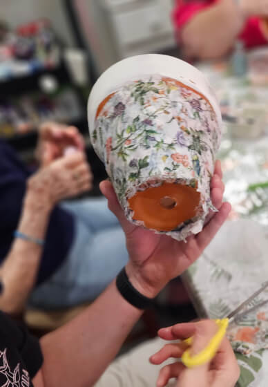 Paint, Stick and Plant Workshop