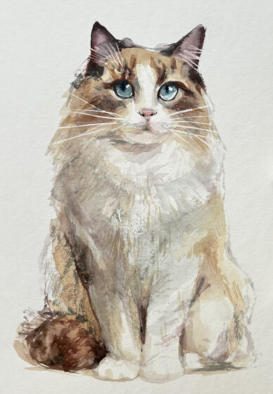 Paint Your Cat Watercolour Painting Class
