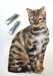 Paint Your Cat Watercolour Painting Class