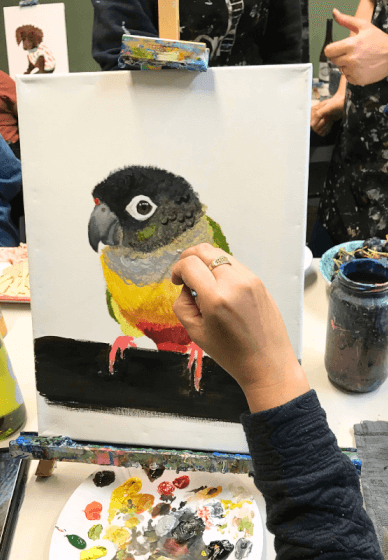 Paint Your Pet Class