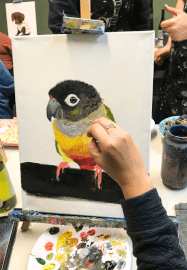 Paint Your Pet Class