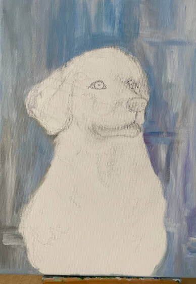 Paint Your Pet Class