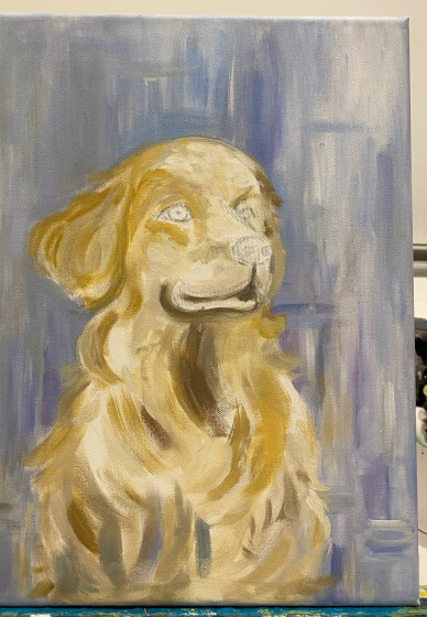 Paint Your Pet Class