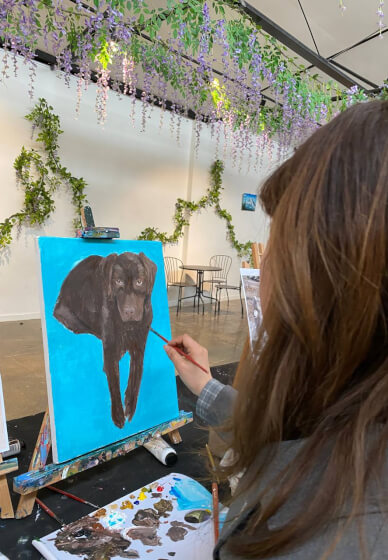 Paint Your Pet Class