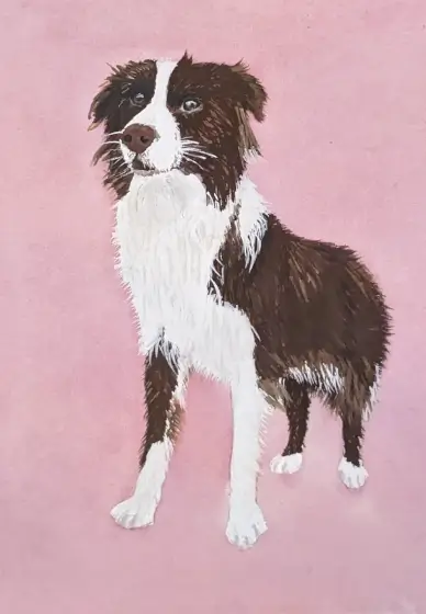 Paint Your Pet Workshop