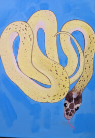 Paint Your Pet Workshop