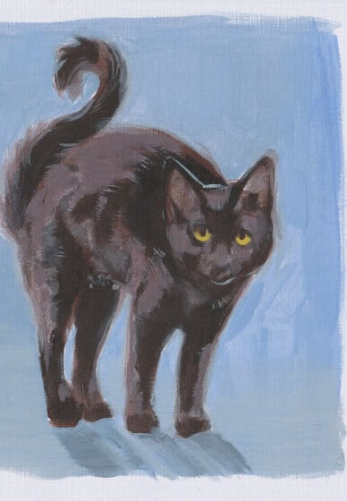 Paint Your Pet Workshop