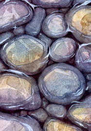 Painting Pebbles Workshop: Creating Form with Watercolours