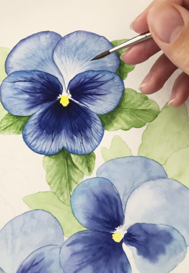 Pansies in Watercolour: Botanical Illustration Workshop